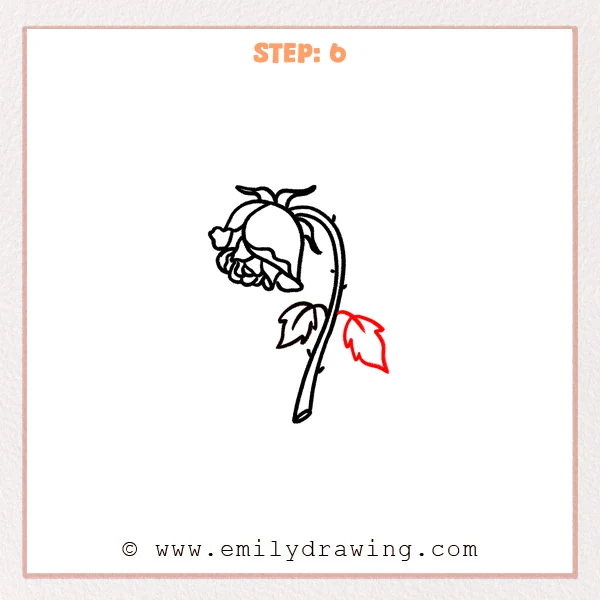 how to draw a dead rose - Step 6 of how to draw a dead rose adds a second drooping leaf on the right side of the stem with simple veins.